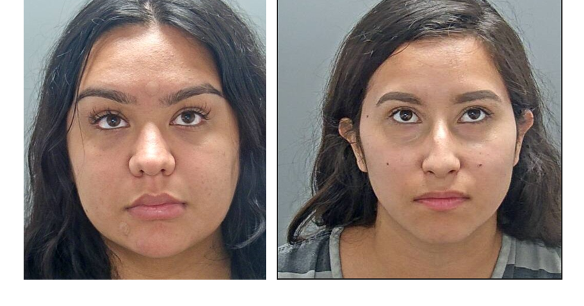 Two Arrested for Allegedly Trafficking 11.7 Pounds of Fentanyl | News ...