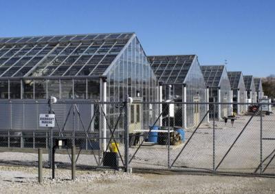 Mine Consultant Agreed Nevada Plant in Danger