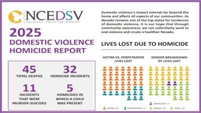 2025 Domestic Violence Homicide Report