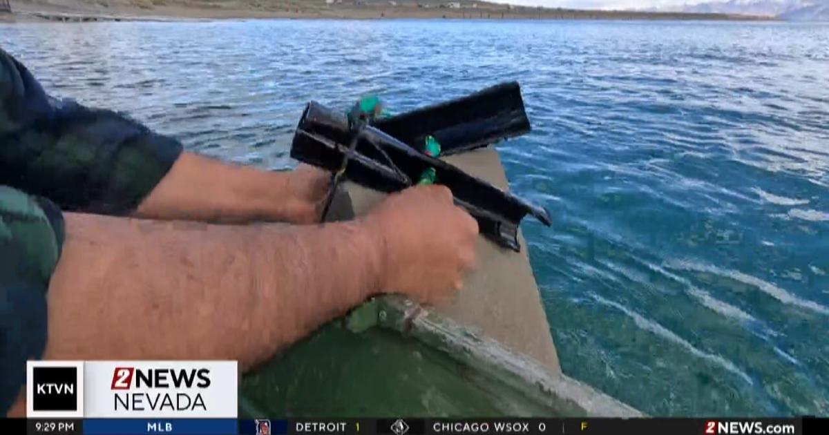 Pyramid Lake Aquatic Invasive Species Program Deploys Samplers to Help ...
