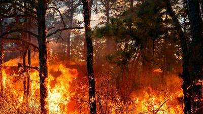 Wildfire generic MGN.jpg