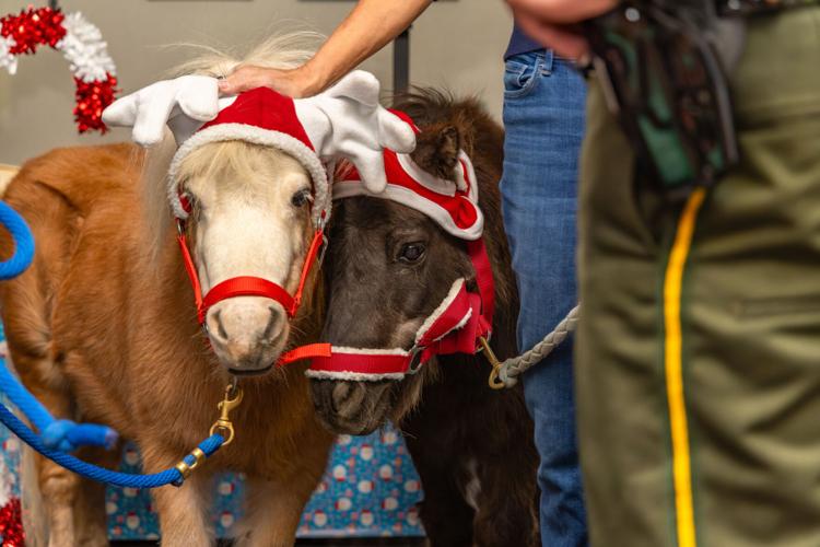 WCSO Broken Bulb competition