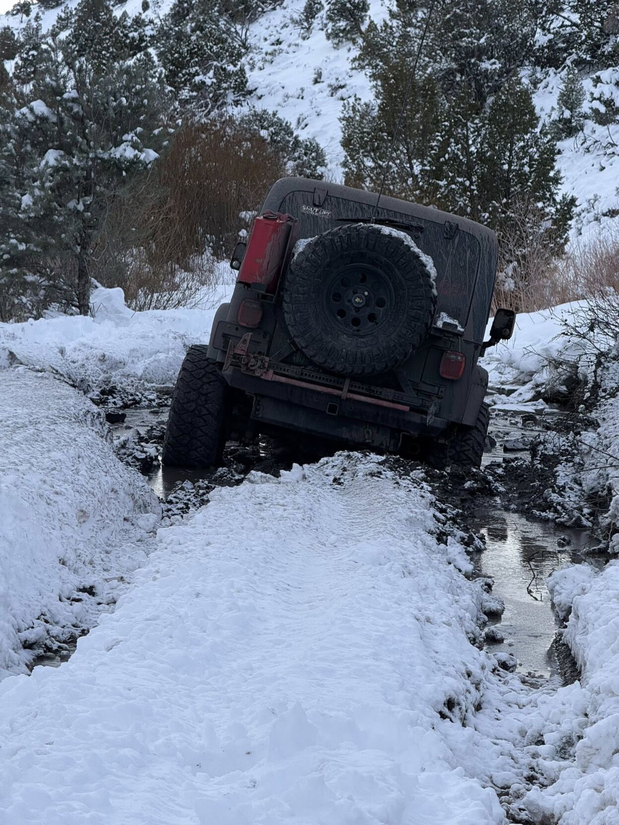 douglas sar snowshoe 4.jpg