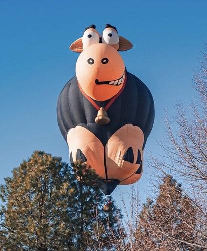 Ashton_Montie the Black Sheep.jpg