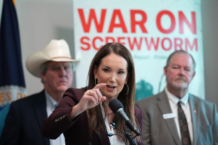 Screwworm Livestock