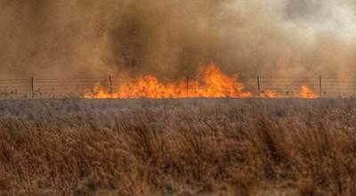 Wind-Whipped Wildfires Destroy Homes, Prompt Evacuations in Three States