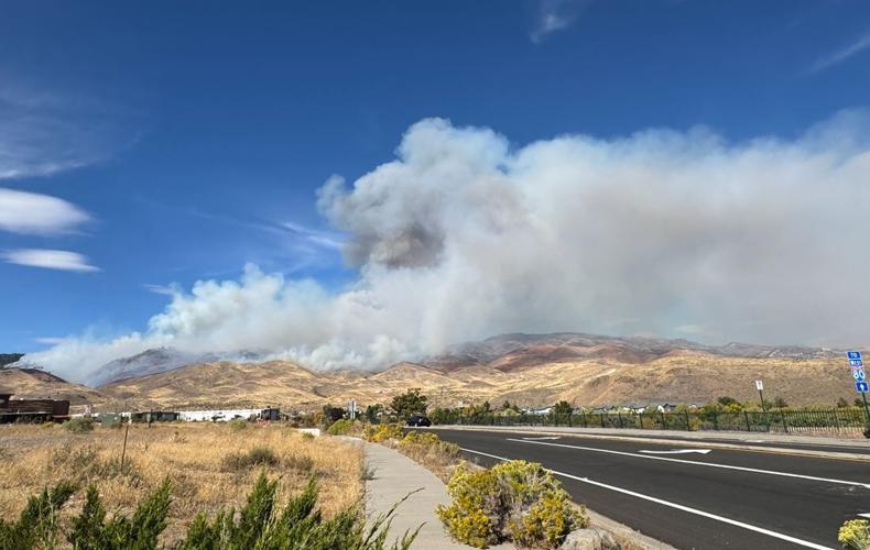 Bull Fire