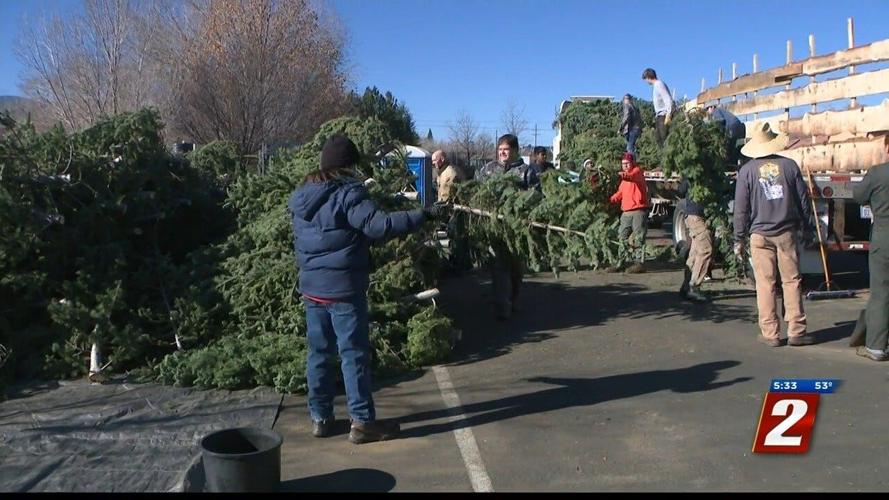 Local boy scout groups receive nearly 1,000 trees for annual Christmas tree sale