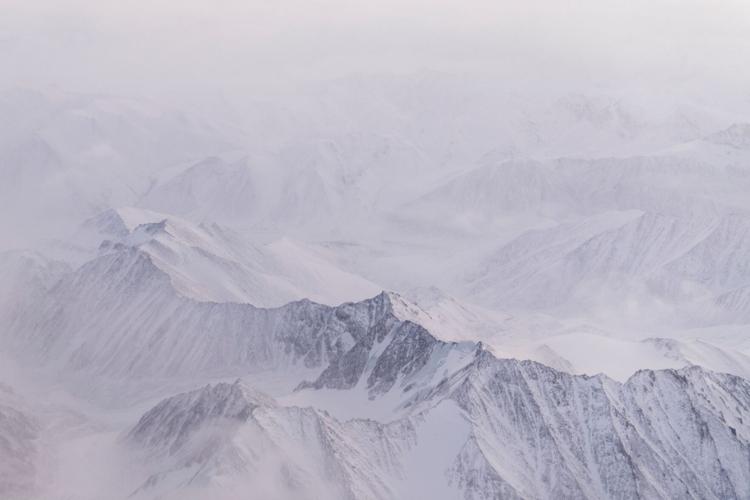 Climate Arctic Jungle