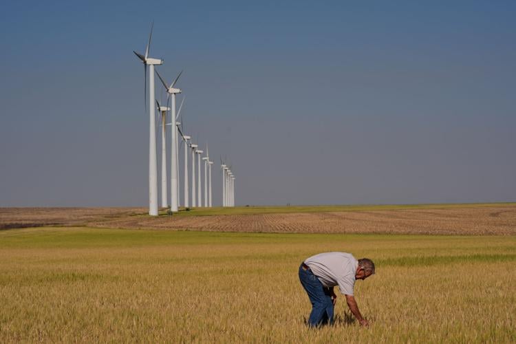 Climate Drought Wheat Farmers