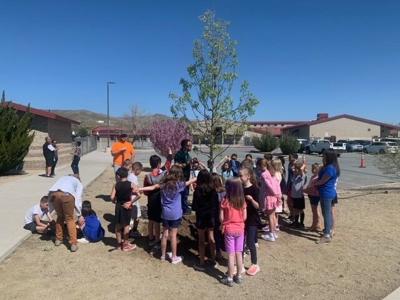 sparks arbor day.jpg