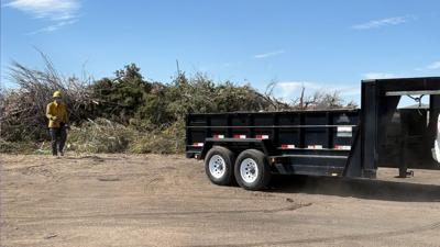Green waste drop-off