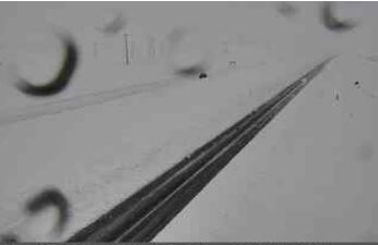 Hwy 395 north of Bishop on January 9