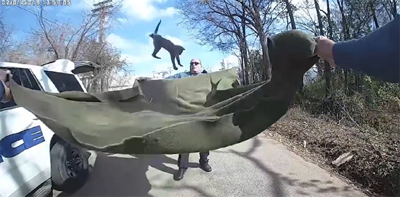 Caught on Camera: Texas Police Save Kitten With Blanket