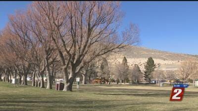 Carson City Fairgrounds, Fuji Park Survey
