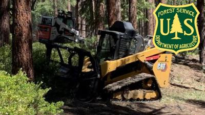 Mastication in the Forest with Forest Service Logo .jpg