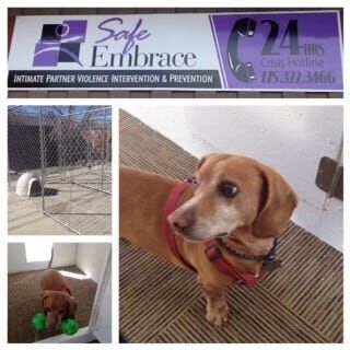 New Pet Facility Opens at Women's Shelter