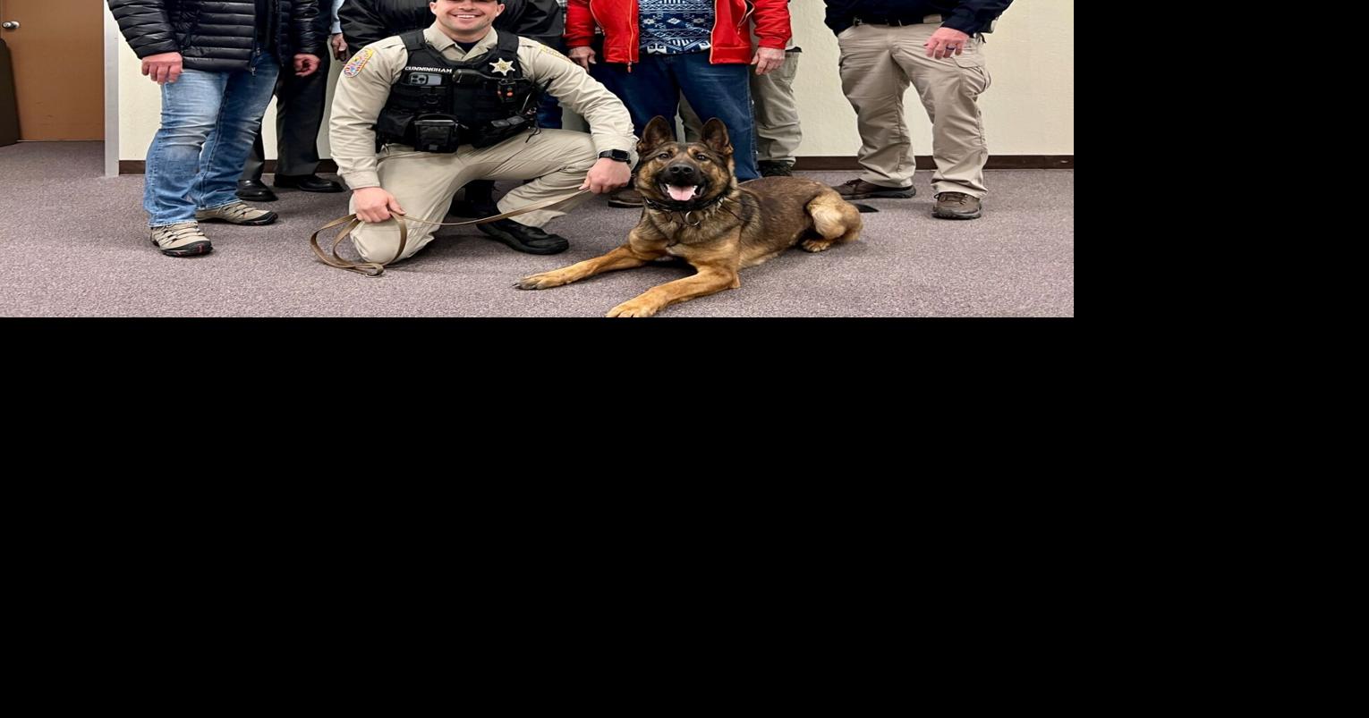Douglas County Sheriff's Office Welcomes New K-9 Bubba | Nevada News ...
