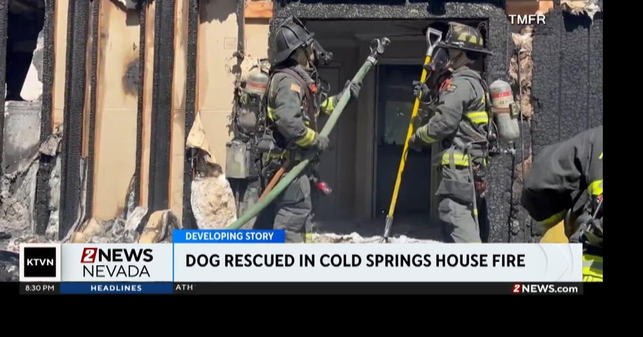 Dog rescued in Cold Springs house fire Saturday