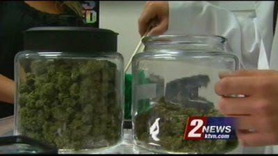 Las Vegas City Council to Consider Medical Marijuana Plan