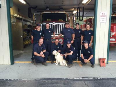 Family Dog Reunited After Car Crash in Susanville