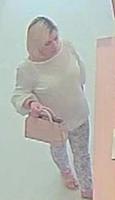 Washoe County Deputies Seek Woman in Stolen Credit Card Case