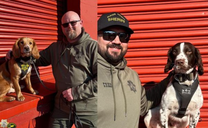 New K-9 units Placer County.PNG