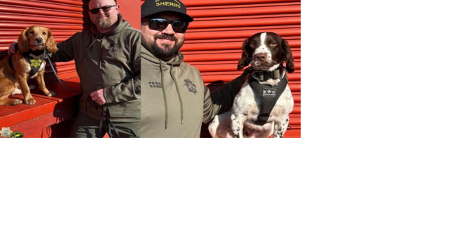Placer County Sheriff's Office welcomes two new K-9 units - Vimarsana News