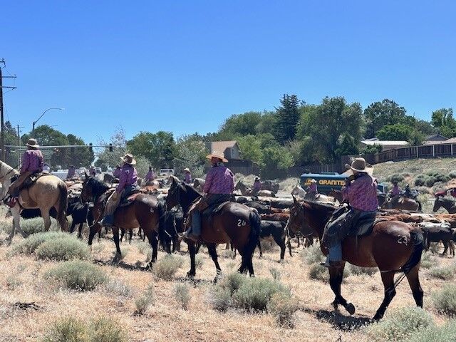 Cattle Drive 37.jpg