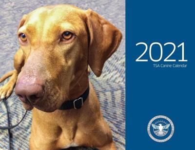 TSA Releases Dog Calendar For 2021