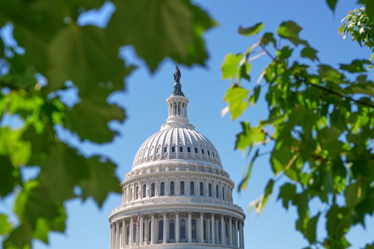Capitol
