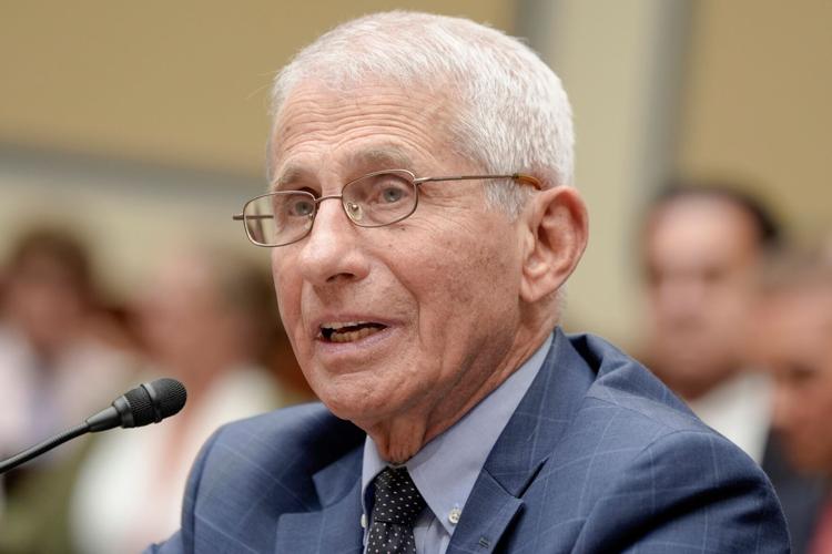 Senate Fauci Hearing