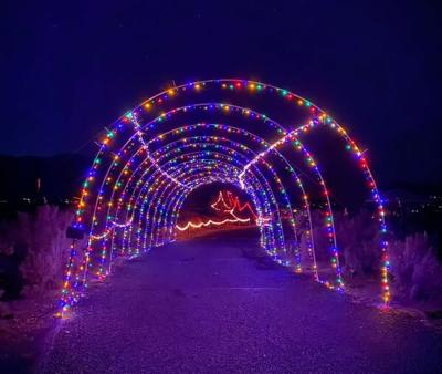Washoe Lake State Park Drive-through Holiday Lights
