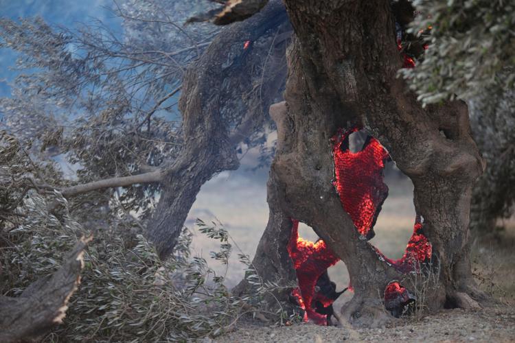 APTOPIX Greece Extreme Weather Wildfire