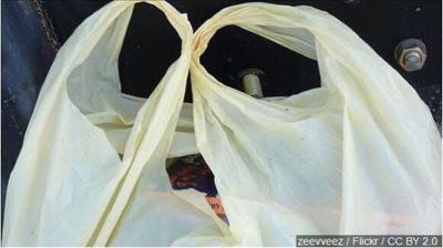 Nevada Lawmakers Propose Elimination of Plastic Bags