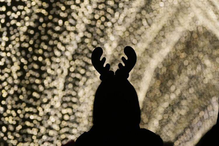 Botanical Garden Holiday Lights