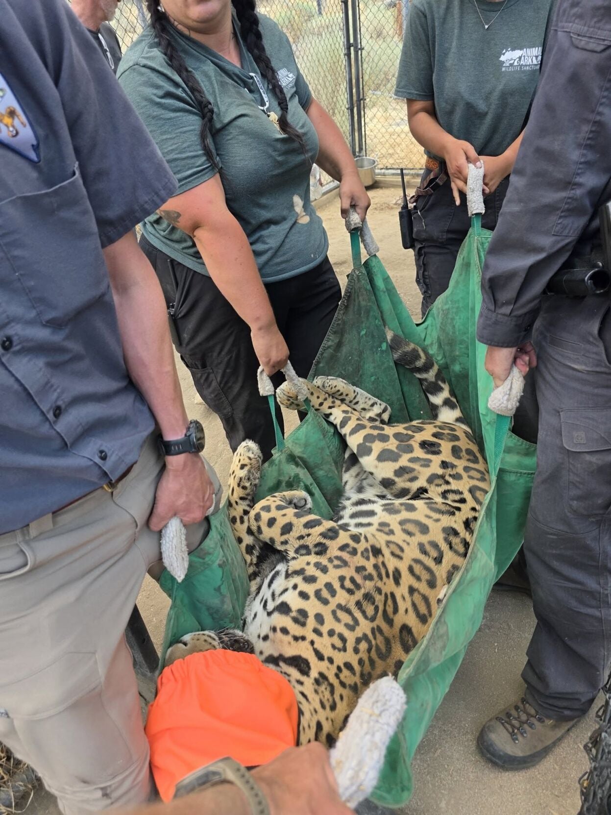 NDOW assists with Animal Ark evacuation during wildfires