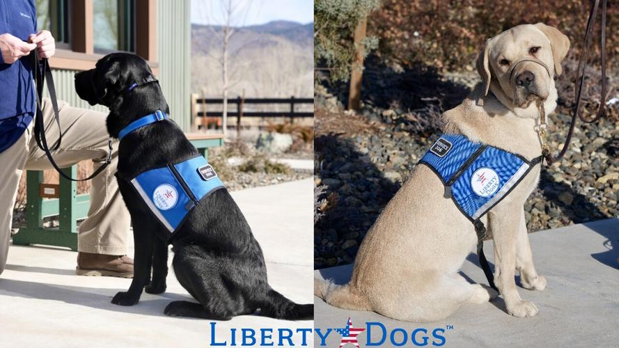 Liberty Dogs partners with Washoe County .jpg