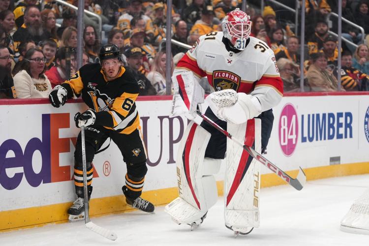 Panthers Penguins Hockey
