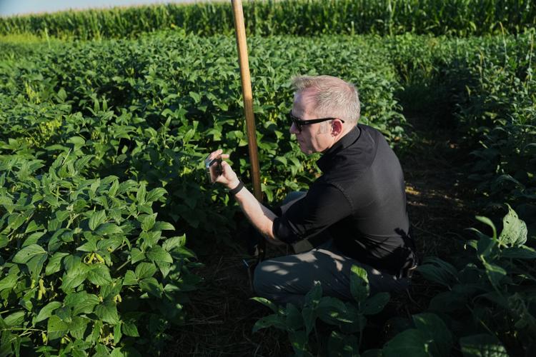 Climate Roots Carbon Capture