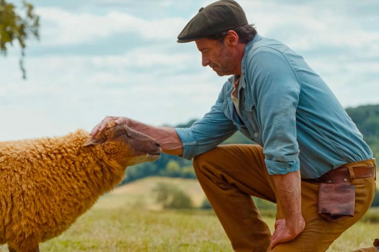 Film Review - The Sheep Detectives