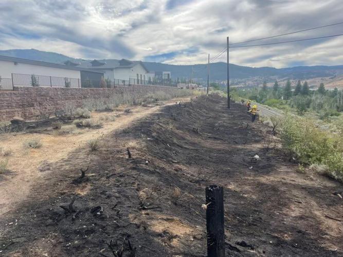 verdiboomtownbrushfiremain.jfif