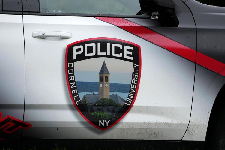 Cornell Investigation
