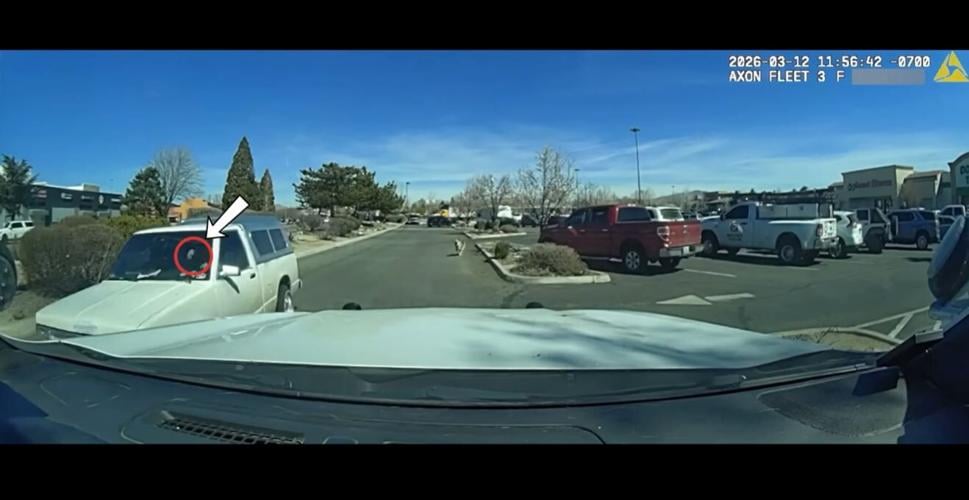 Silver State Plaza shooting