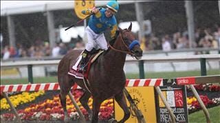 American Pharoah Wins the Triple Crown