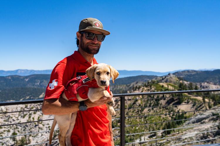 Palisades Tahoe New Avalanche Rescue Dog - Meet Binny