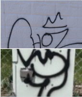 Douglas County Sheriff's Office Seek Vandalism Suspects