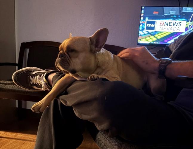 Cocoa