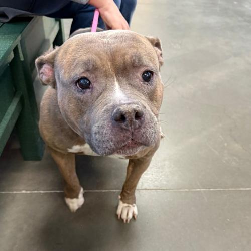 Lovely girl at NHS.jpg