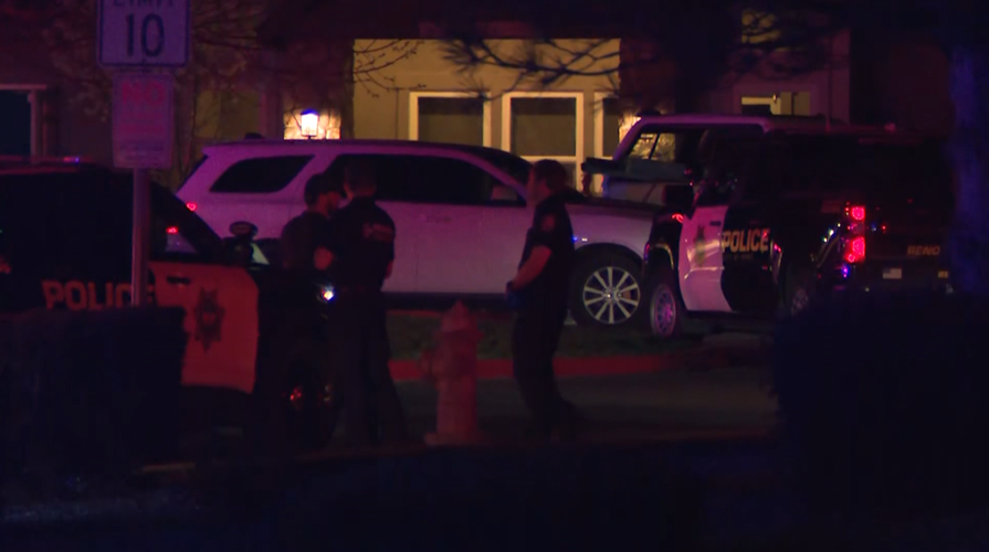 south meadows scene 3.PNG